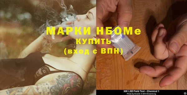 хмурый Верея