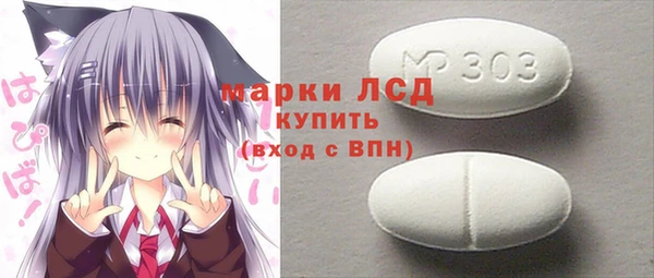 хмурый Верея