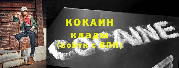 индика Новодвинск