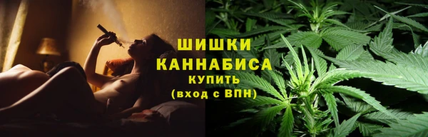 метадон Новозыбков