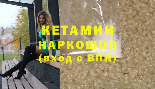 индика Новодвинск