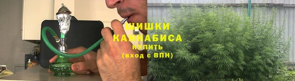 метадон Новозыбков