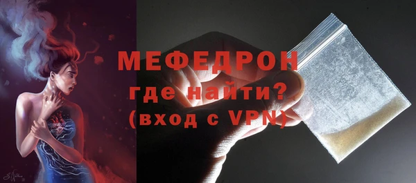 индика Новодвинск