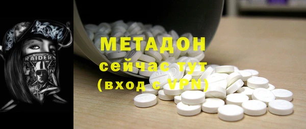 индика Новодвинск