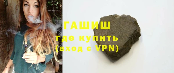 индика Новодвинск