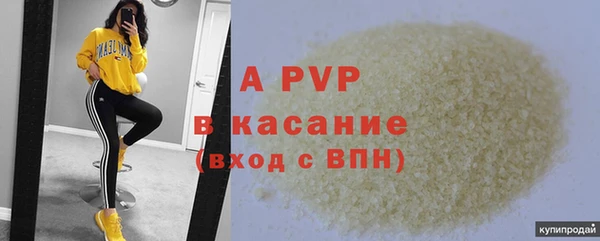 индика Новодвинск
