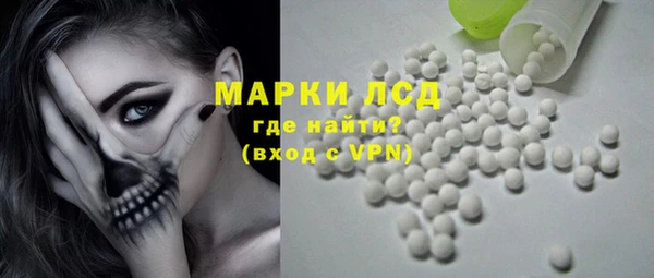 индика Новодвинск