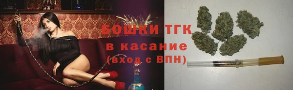 индика Новодвинск