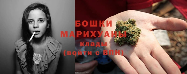 индика Новодвинск