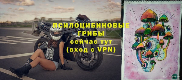 ешки Новокубанск