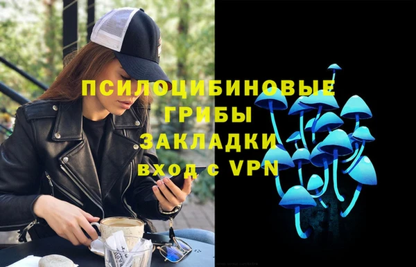 ешки Новокубанск