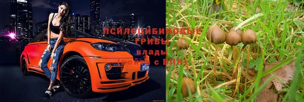 метадон Новозыбков