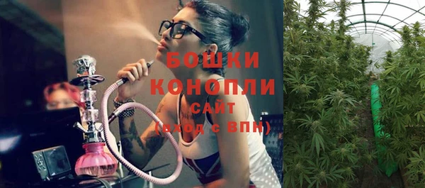 ешки Новокубанск