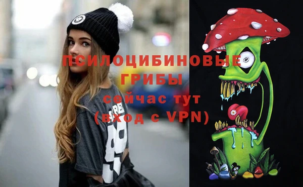 метадон Новозыбков