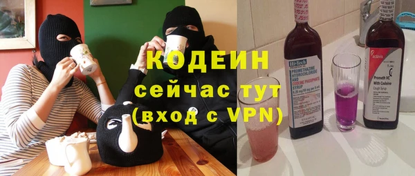 индика Новодвинск