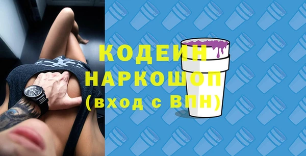 индика Новодвинск