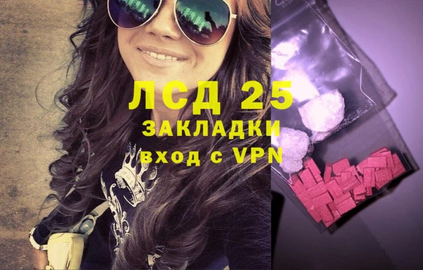 индика Новодвинск